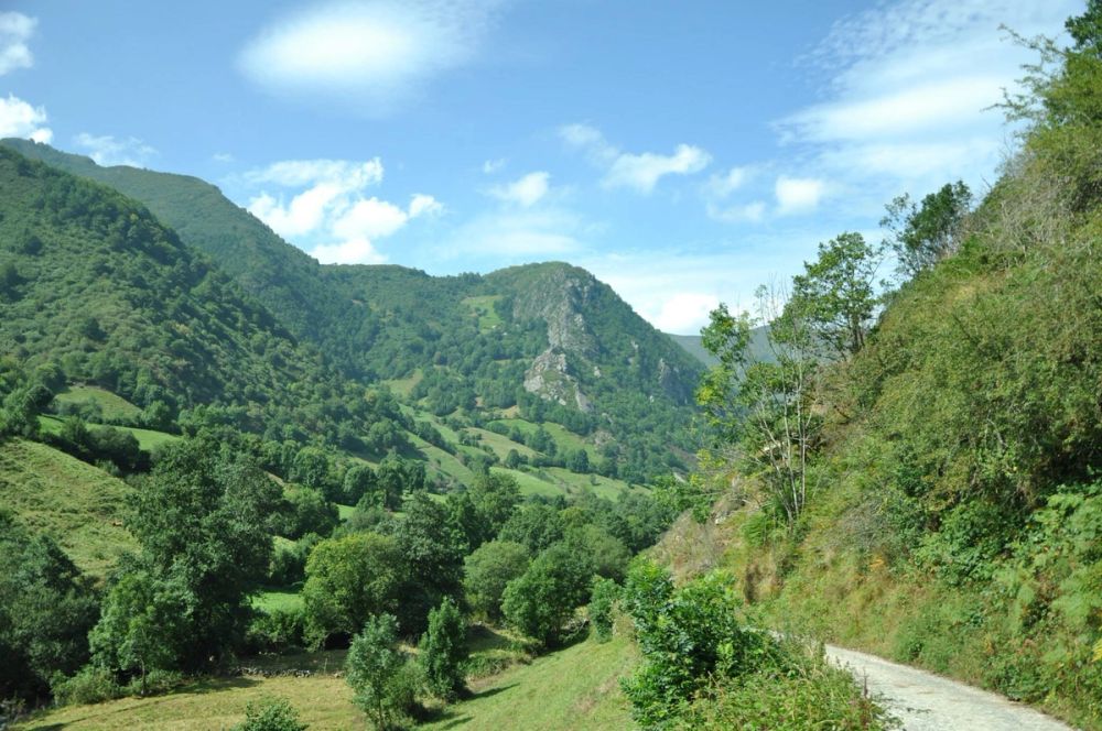 Babia (Leon/Asturias) 2014