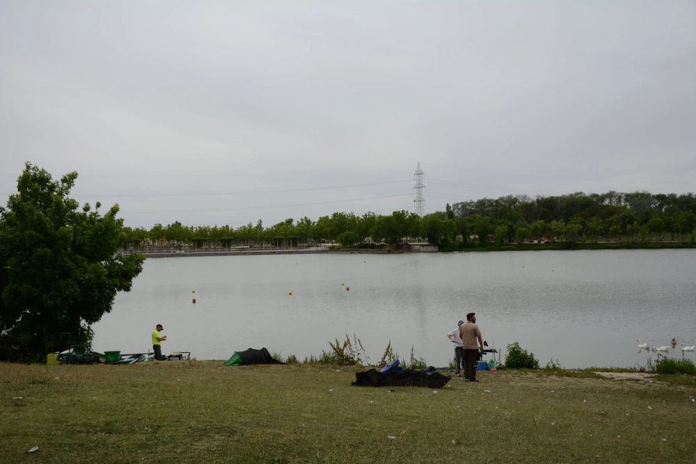 Parque polvoranca (Leganes) 10-06-2019