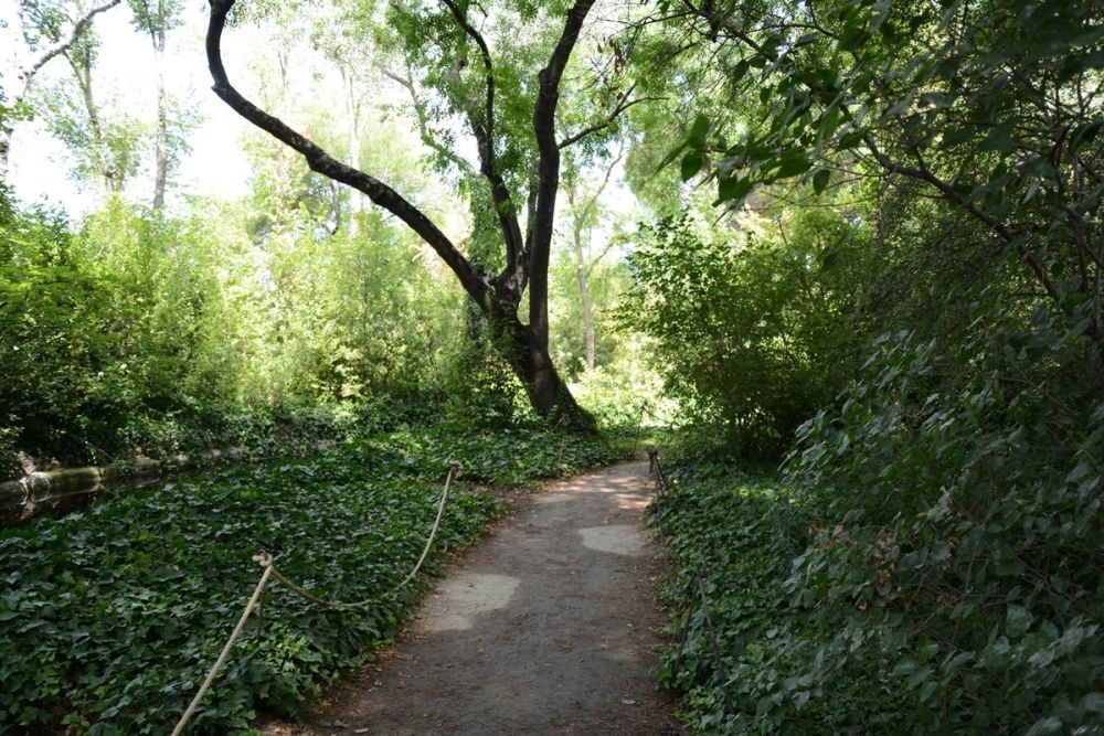 Parque de El capricho (Madrid) 2018
