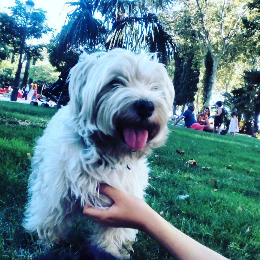 Luckky