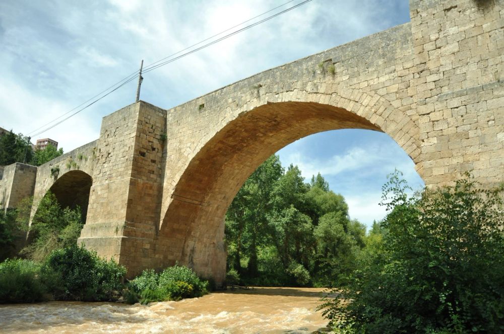 Roa del duero 2014