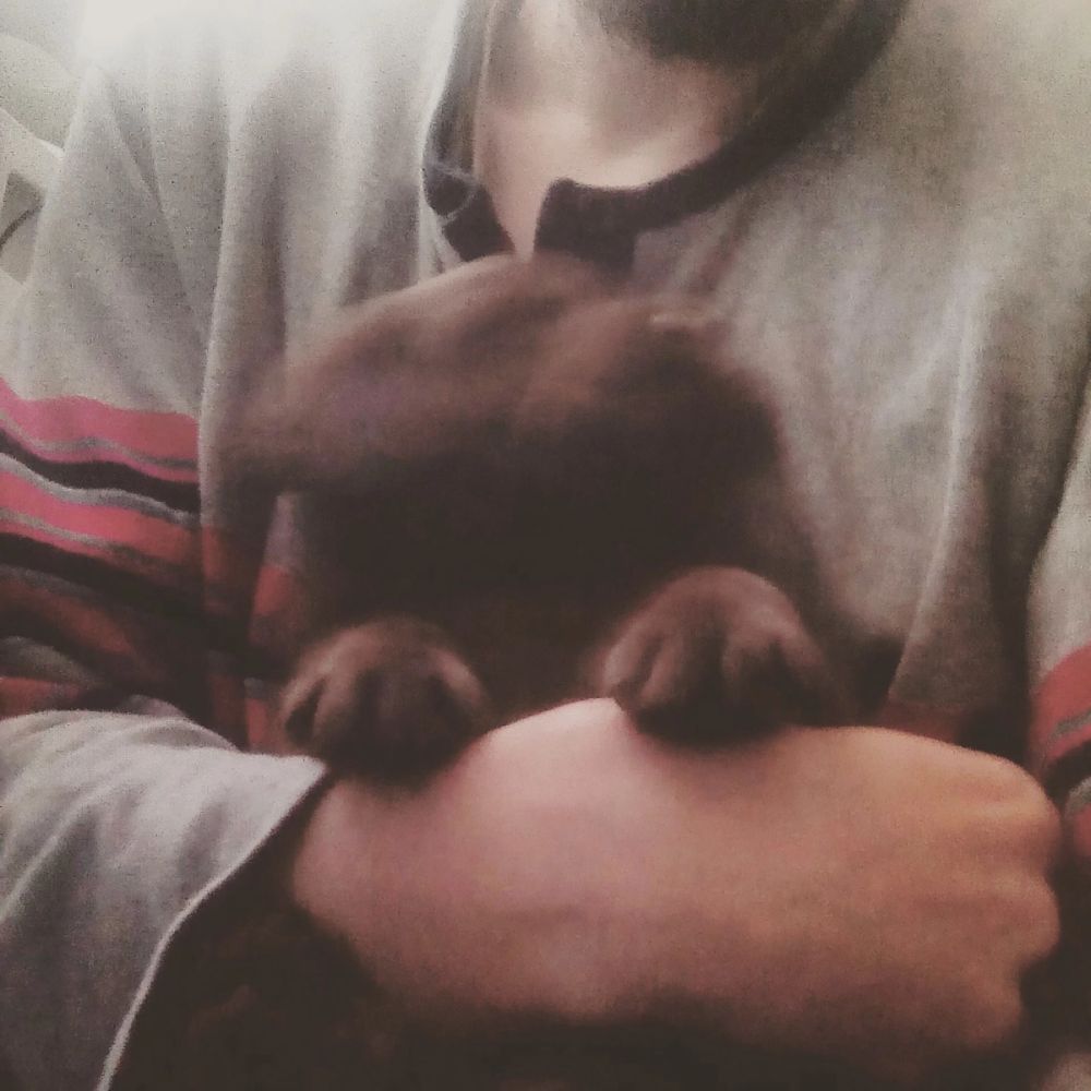 baby Conan