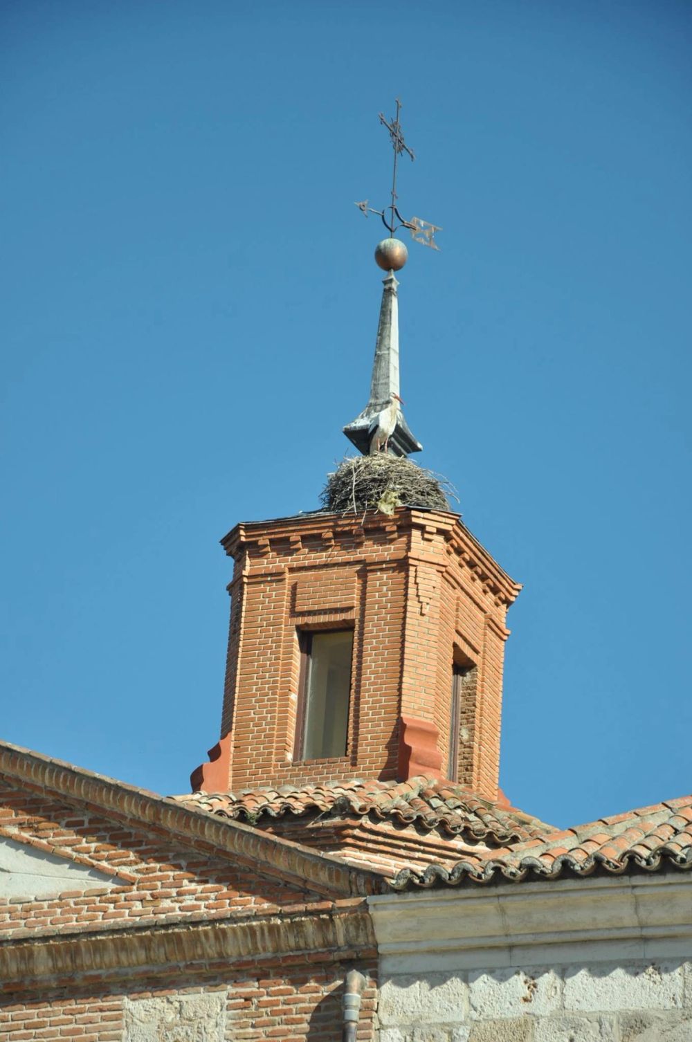 Alcala De Henares 24-01-2016