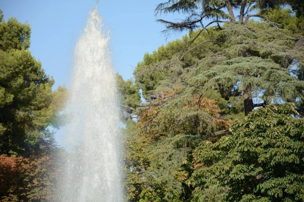 Parque del Retiro (Madrid) 18-08-2017