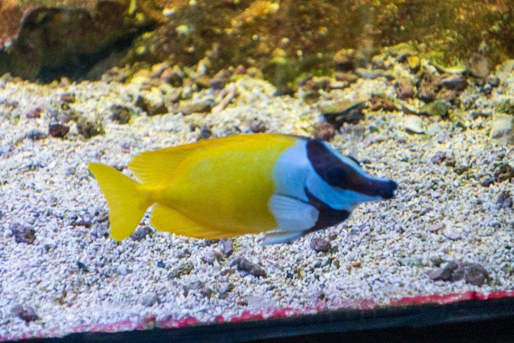 Zoo 17-08-2024