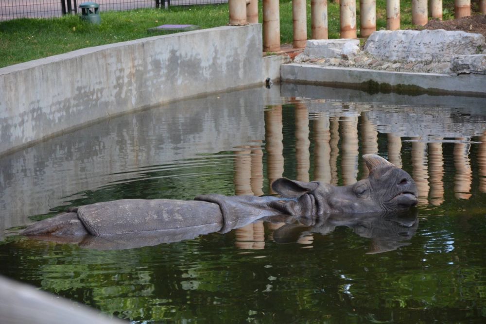 zoo 07-07-2018
