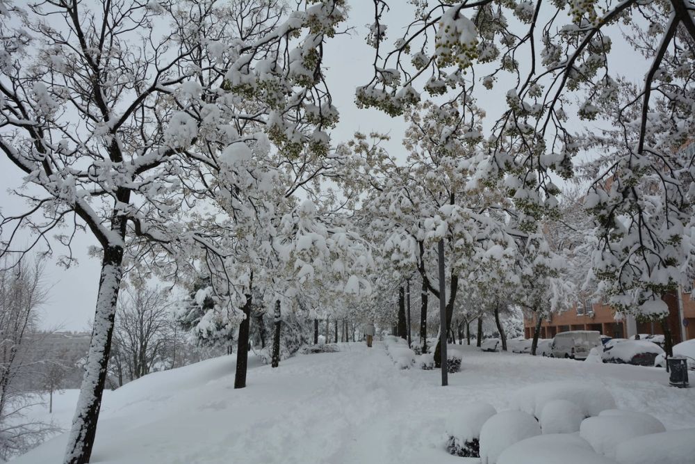 Leganes Nevado 2021 Dia 1