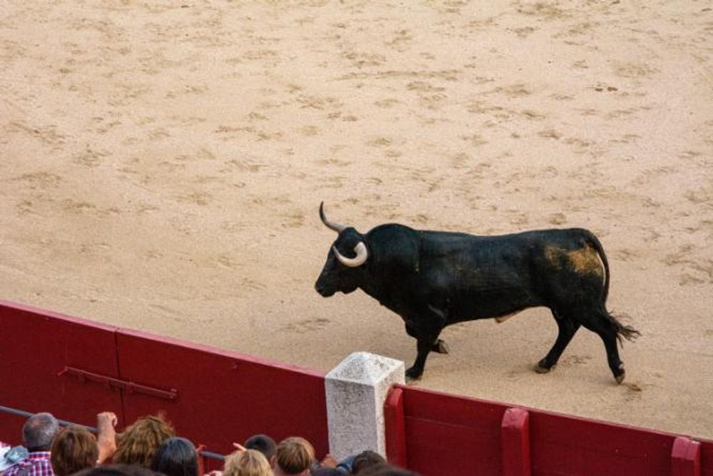 Toros en Colmenar Viejo 22-08-2019
