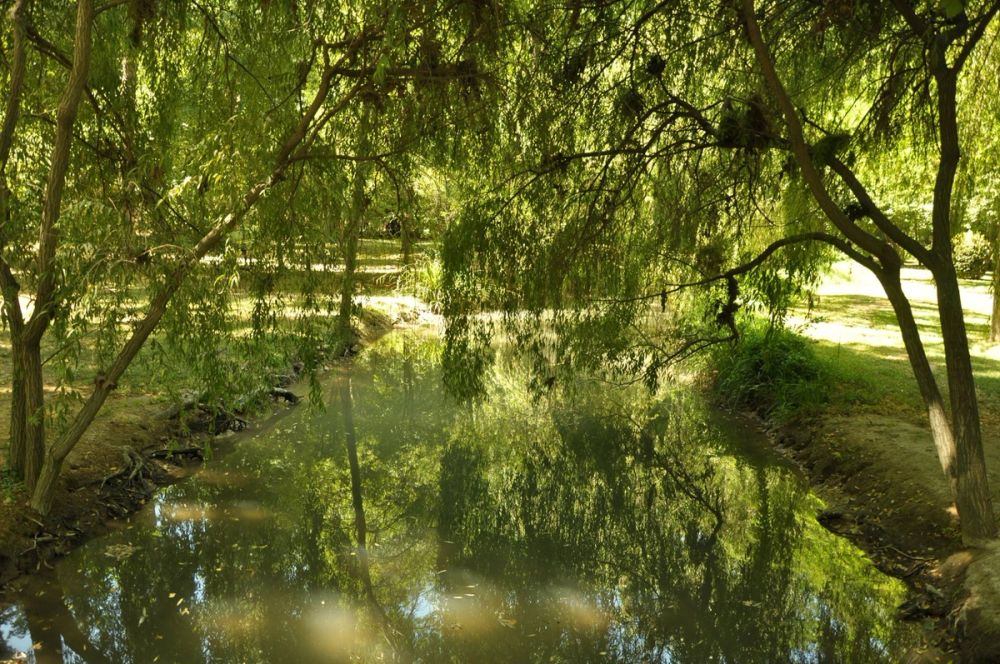 Aranjuez 2016