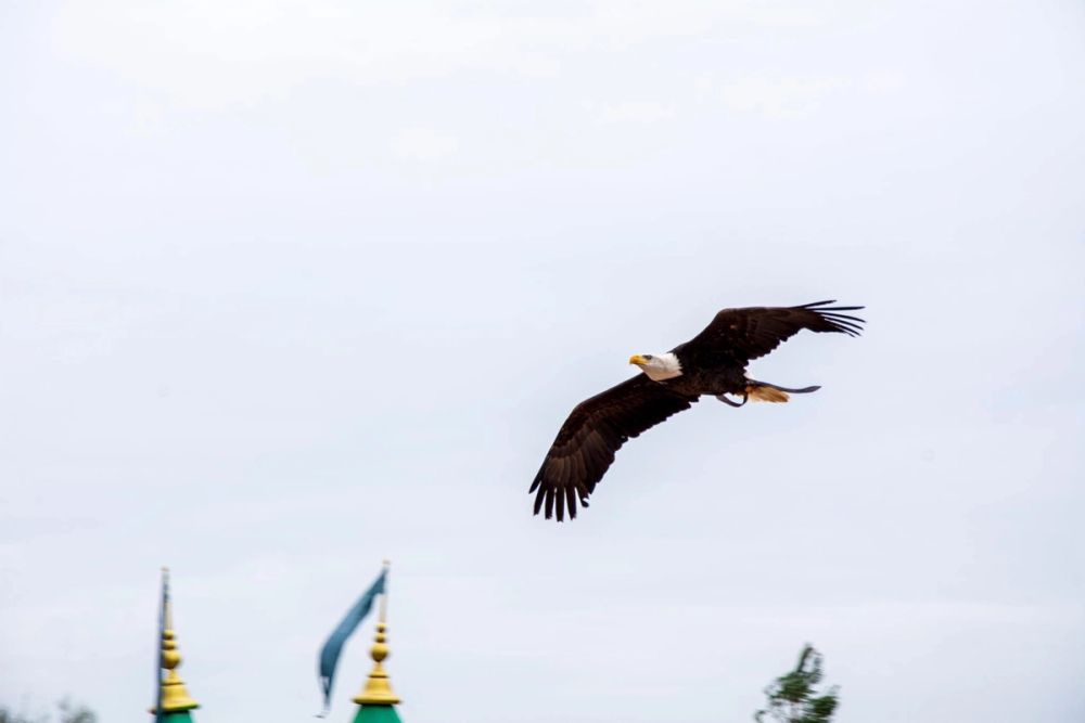 Puy Du Fou 19-03-2022