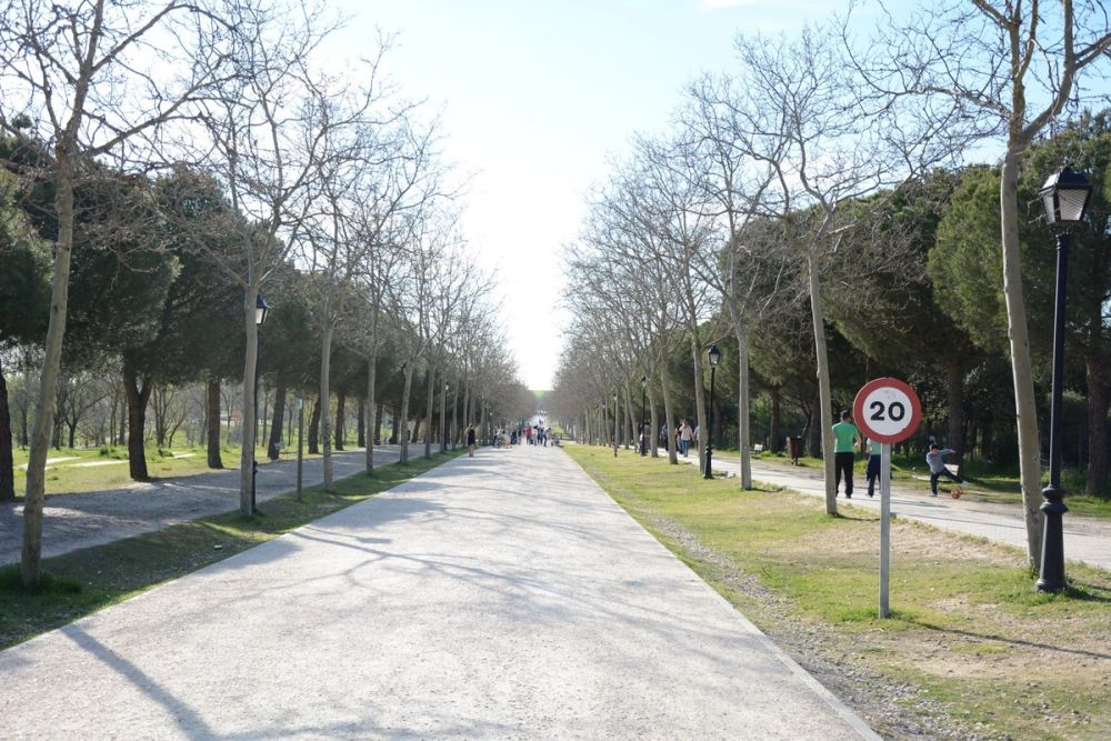 Parque Polvoranca (Leganes) 18-03-2017