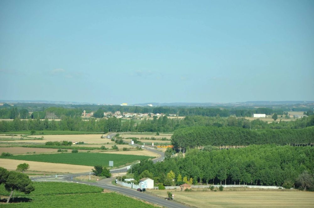 Roa del duero 2014