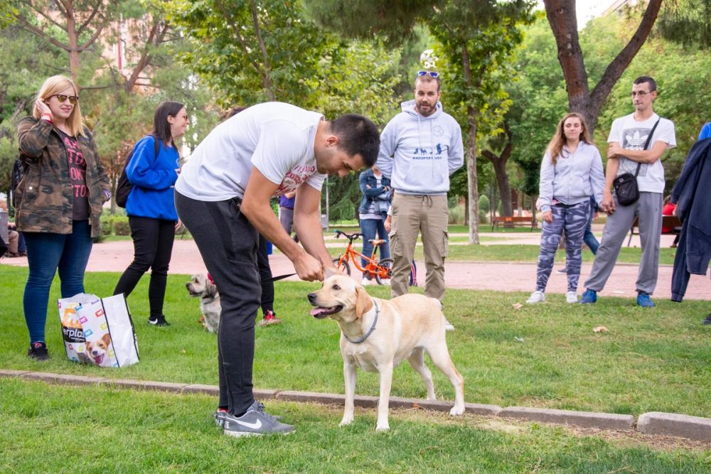 IV Ruta canina en Leganes 22-09-2019