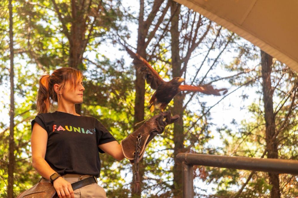 Faunia 10-08-2024