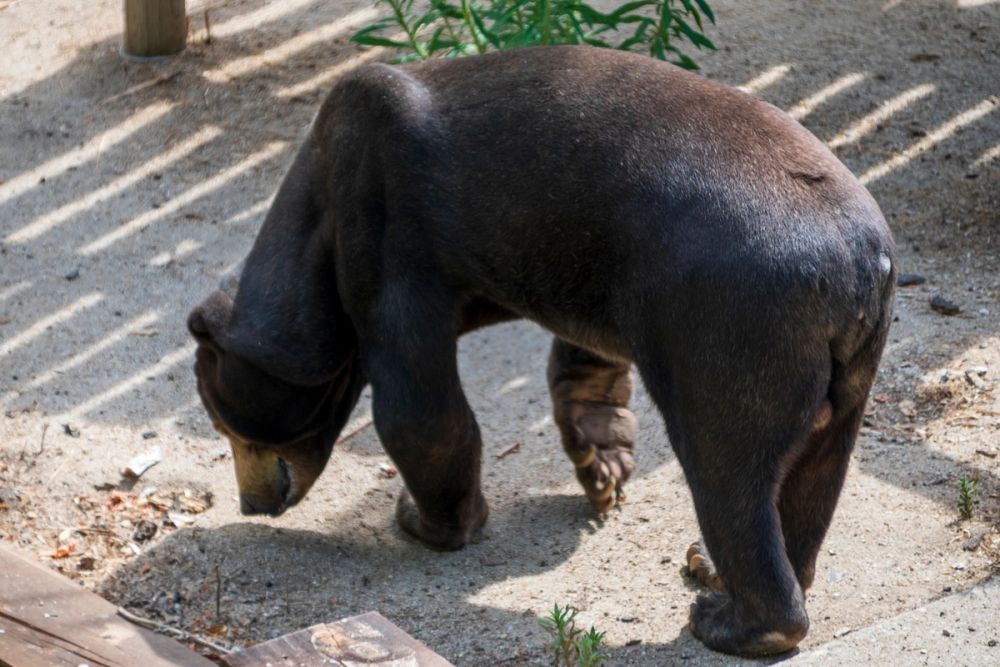 Zoo 17-08-2024