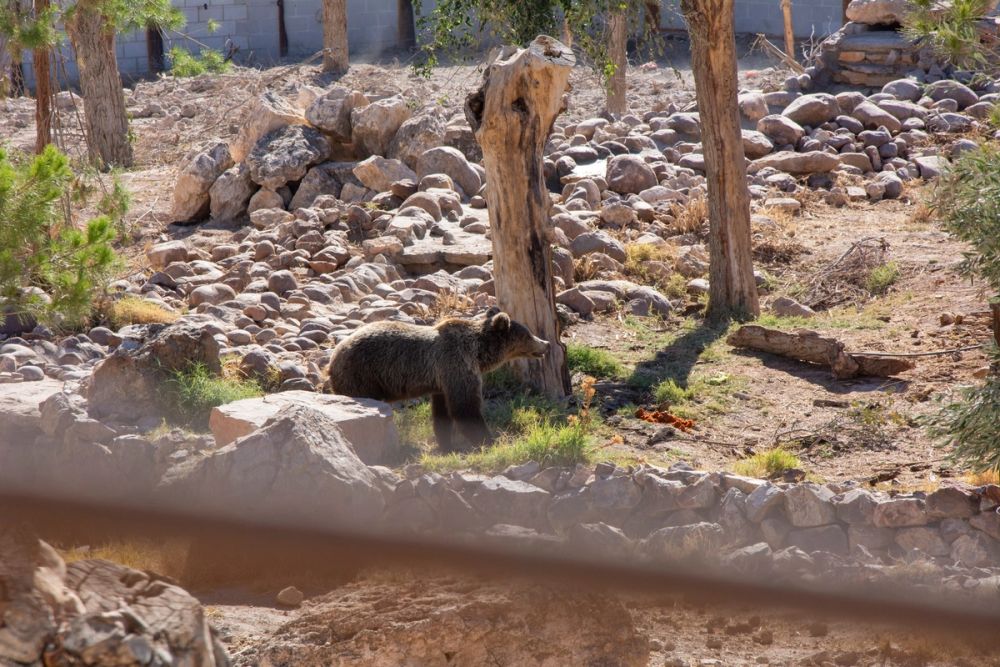 Zoo de Lillo 03-09-2022