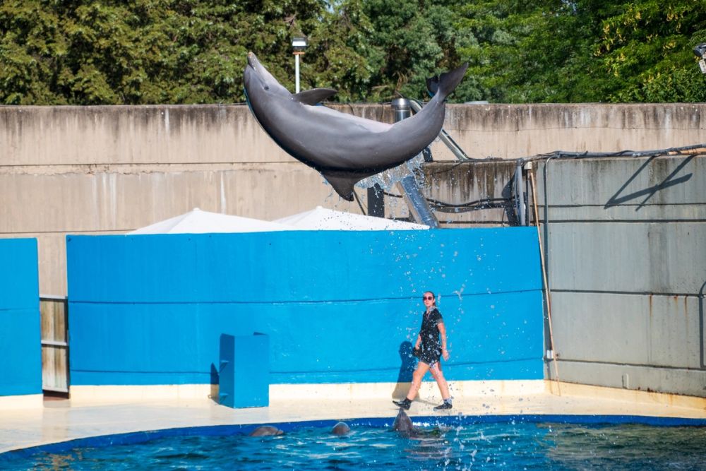Zoo 17-08-2024