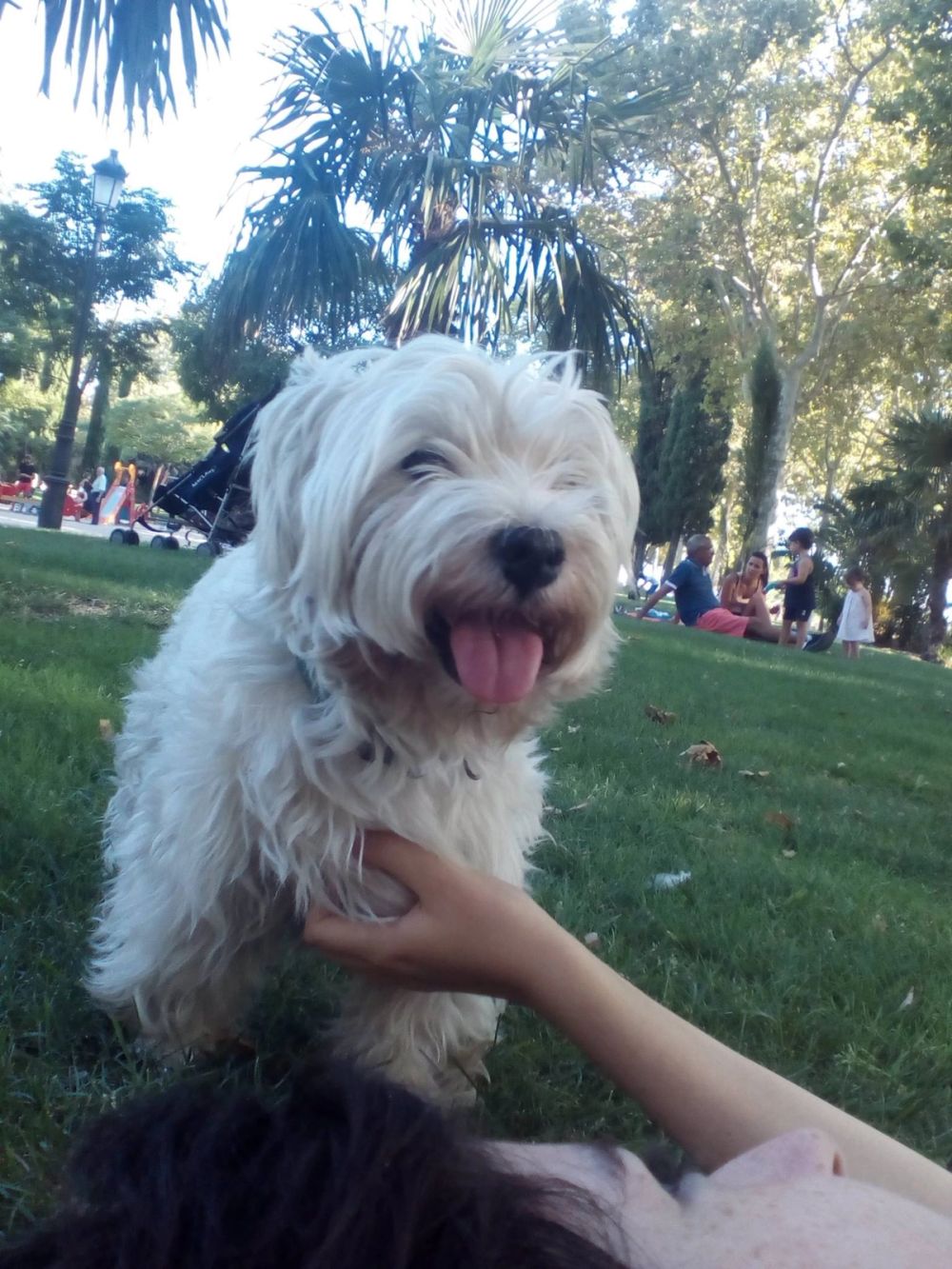 Luckky