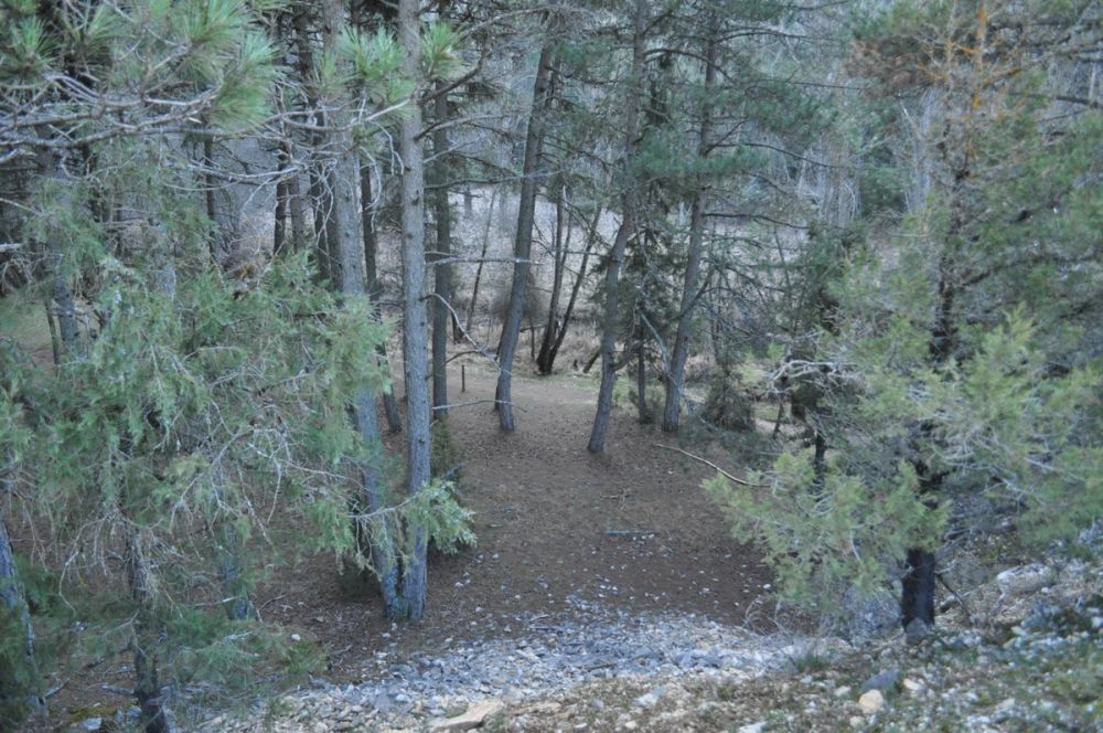 Rio lobos (Burgos/Soria) 2012