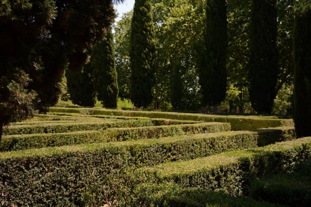 Parque de El capricho (Madrid) 2018