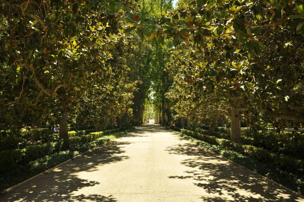 Aranjuez 2016