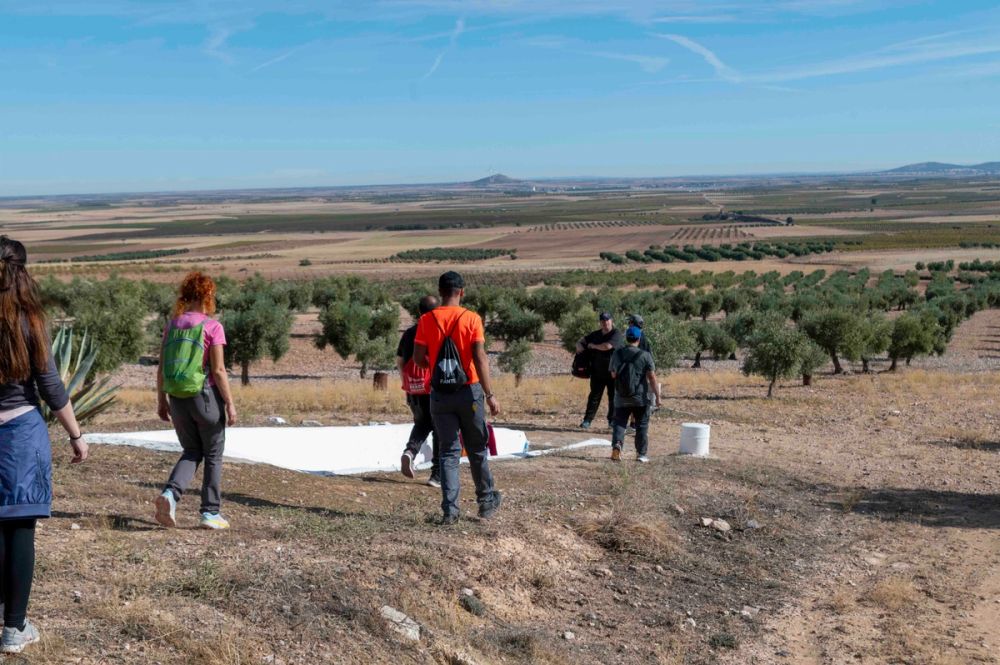 Ruta de senderismo por la sierra de Lillo 10-10-2026