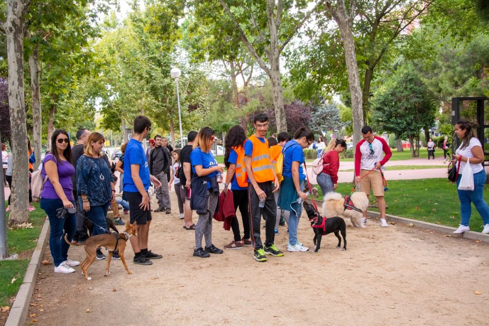 IV Ruta canina en Leganes 22-09-2019