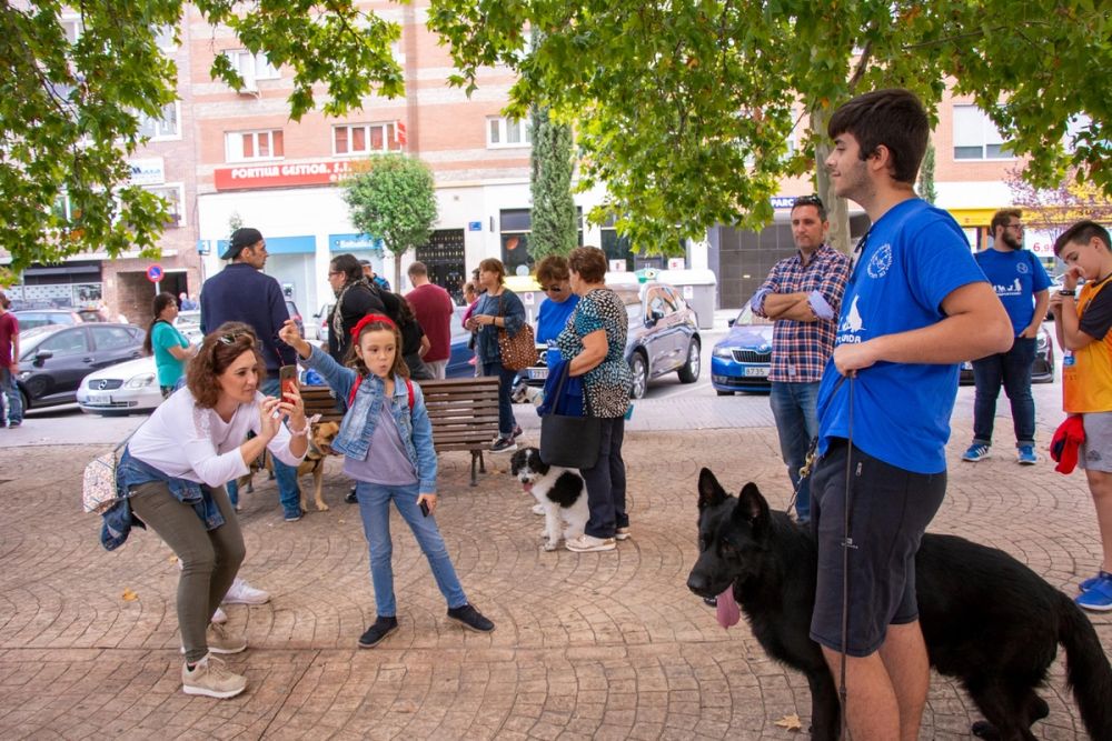 IV Ruta canina en Leganes 22-09-2019
