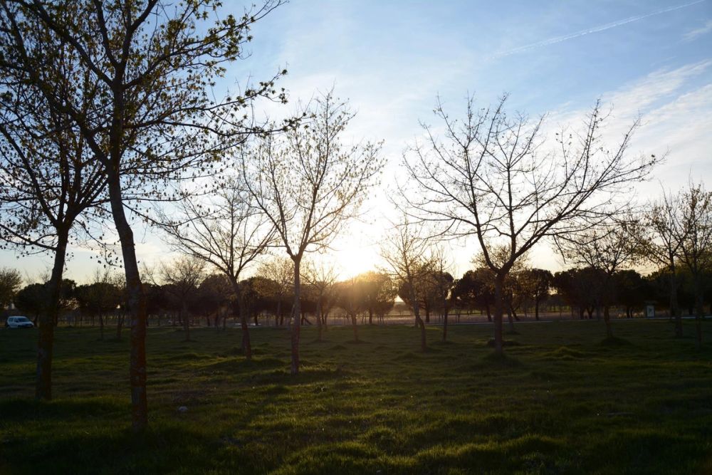 Parque Polvoranca (Leganes) 18-03-2017