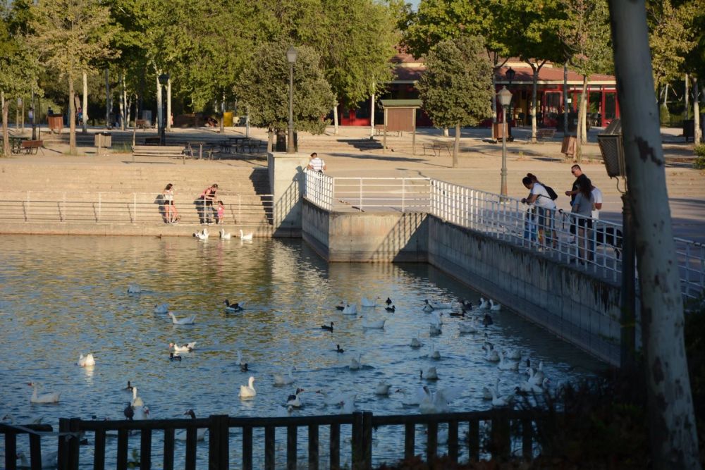 Parque Polvoranca (Leganes) 20-08-2017