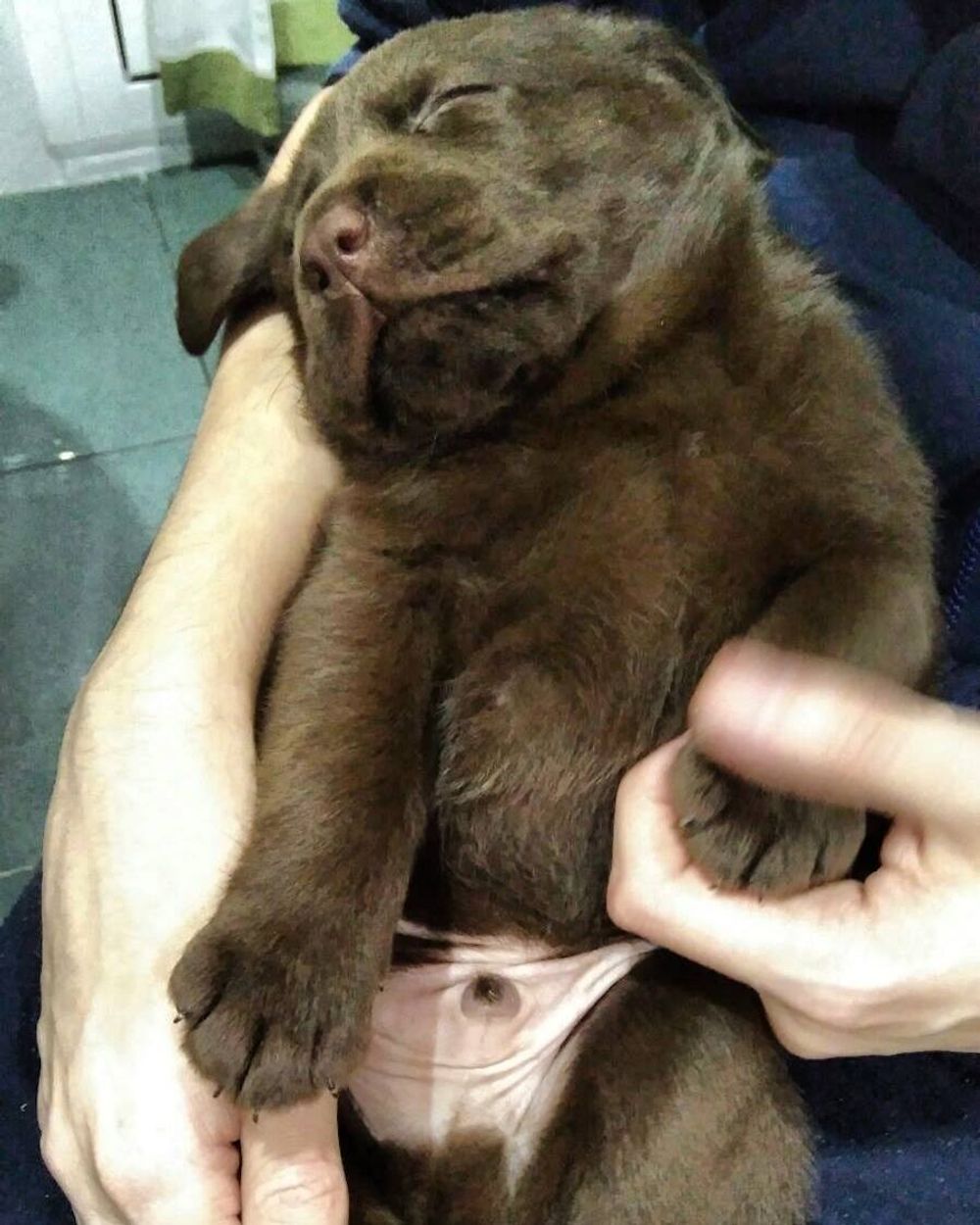 baby Conan