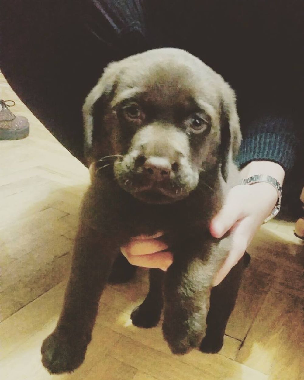 baby Conan
