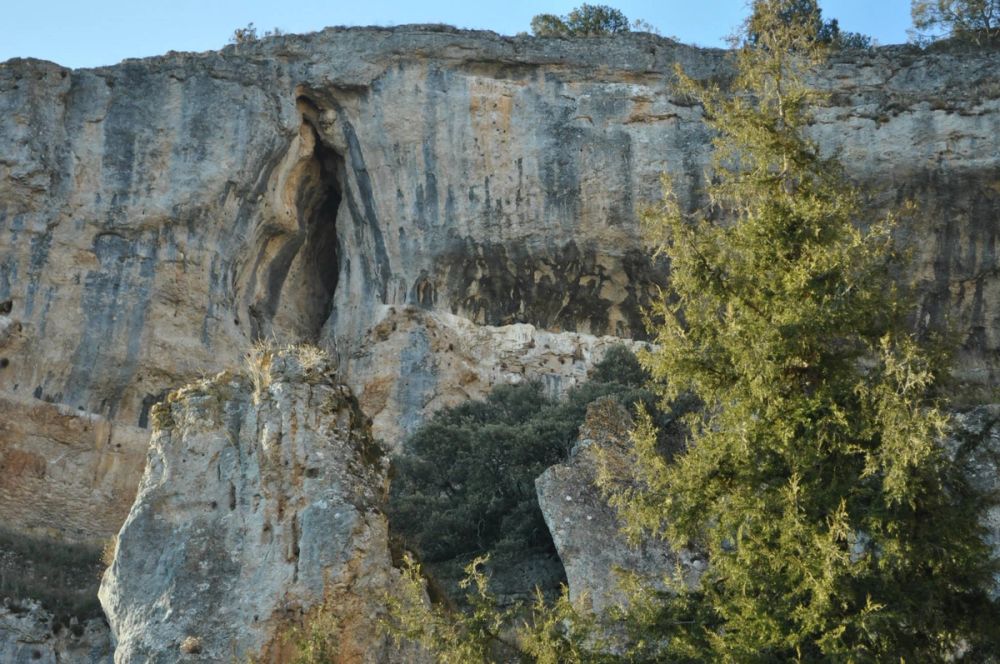 Rio lobos (Burgos/Soria) 2012