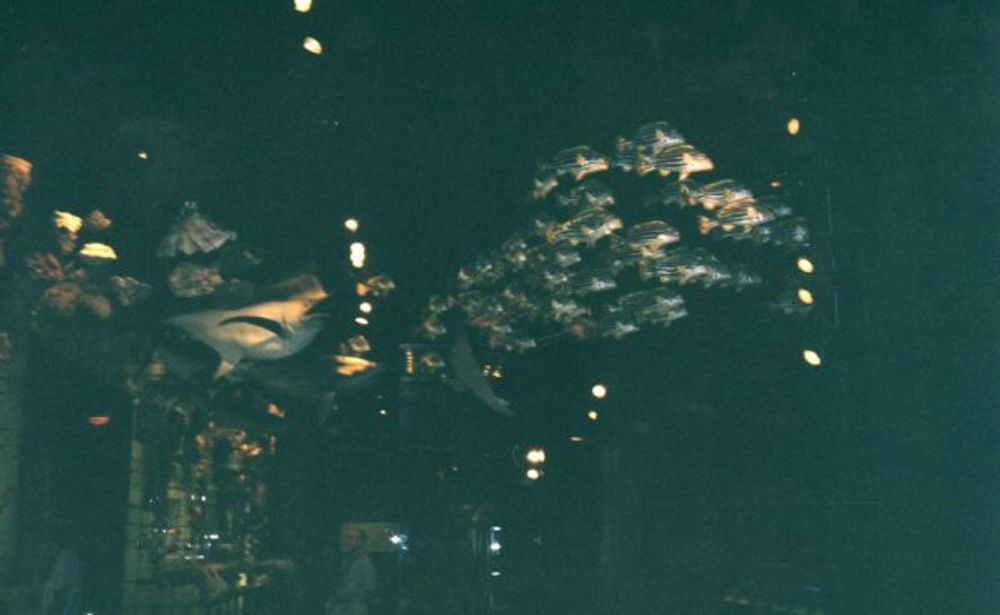 New York 2003