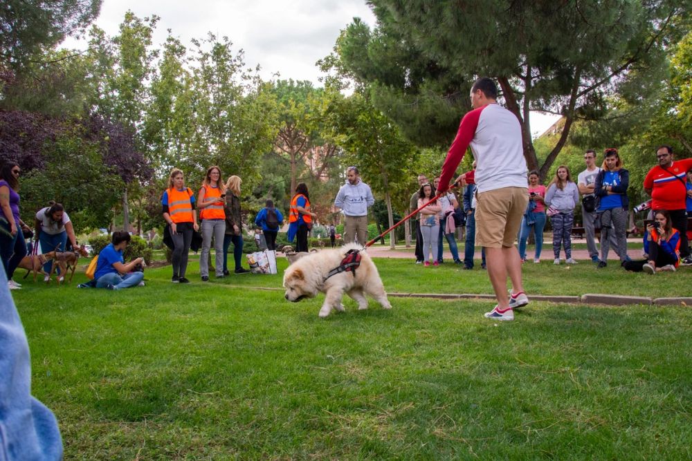 IV Ruta canina en Leganes 22-09-2019