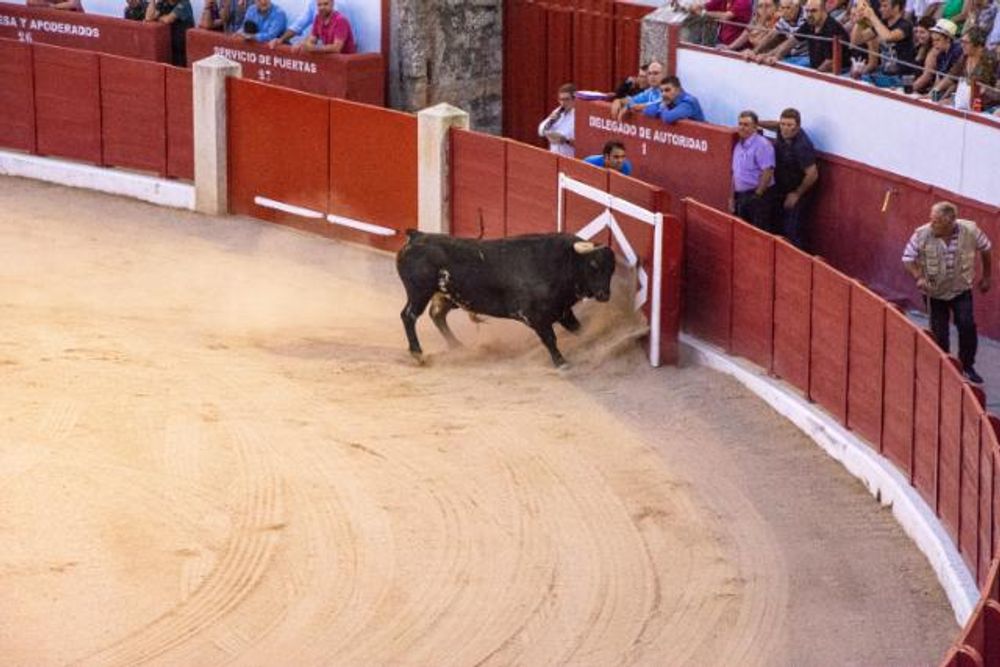 Toros en Colmenar Viejo 22-08-2019