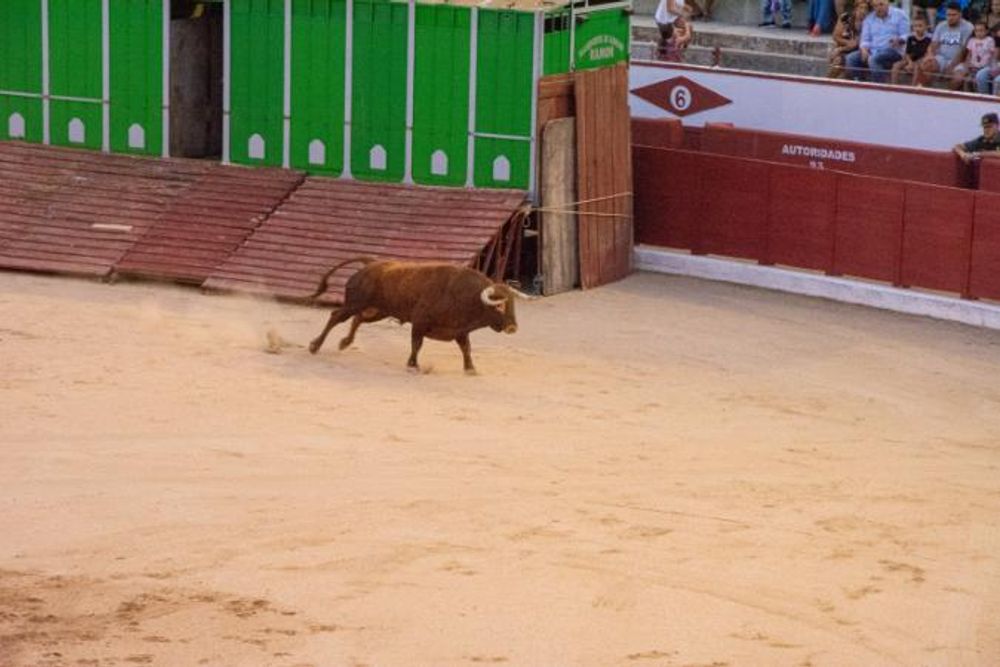 Toros en Colmenar Viejo 22-08-2019