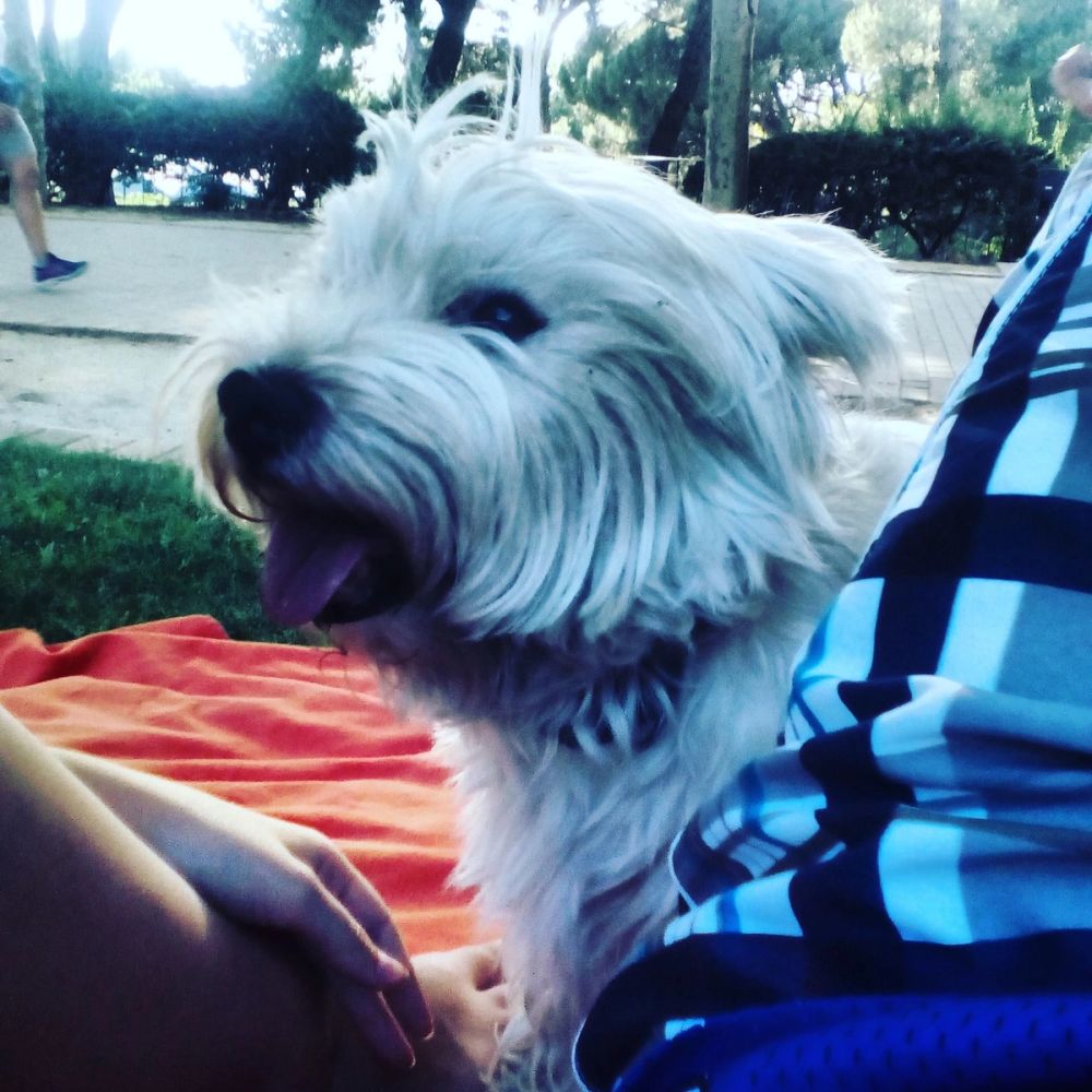 Luckky