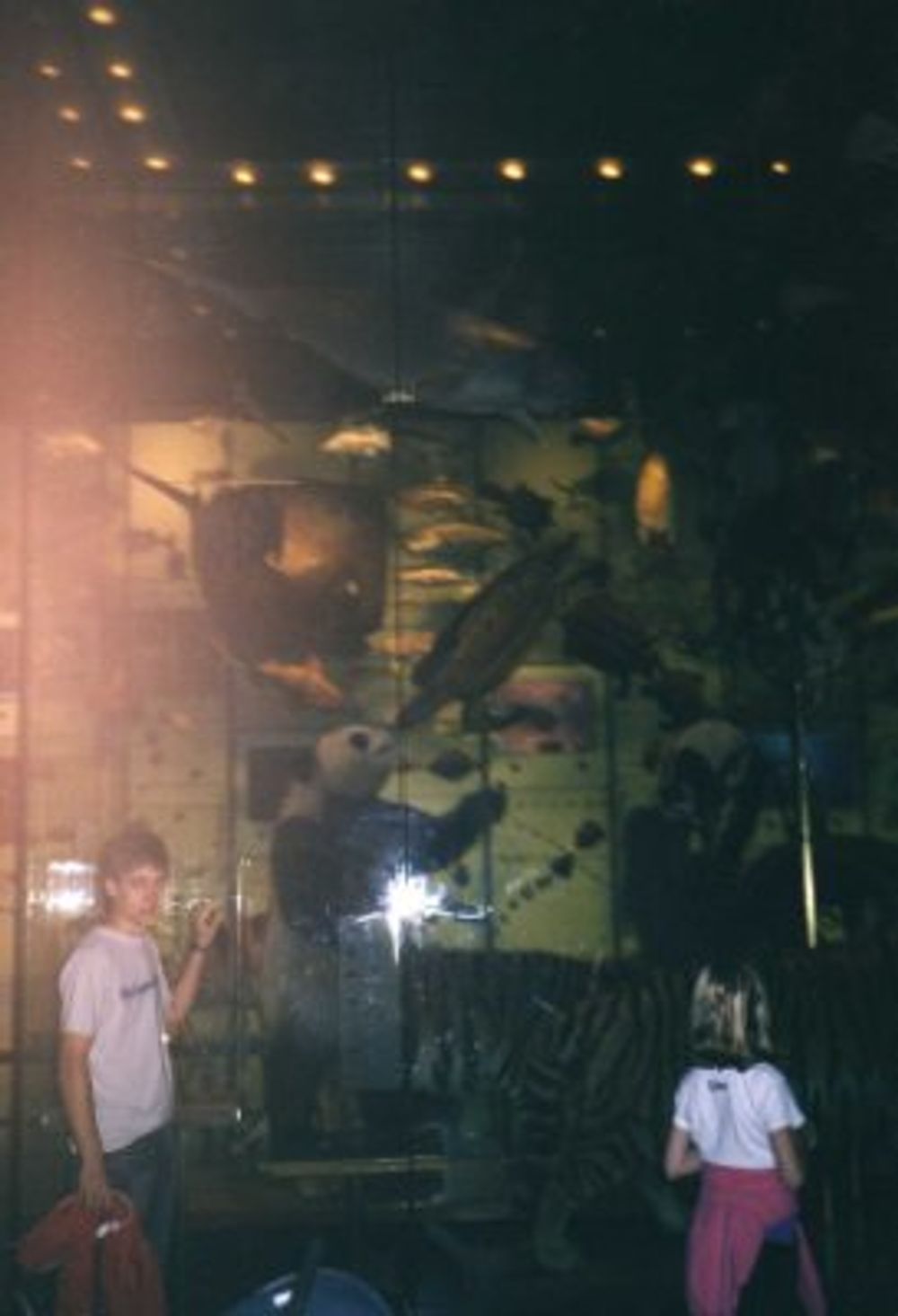 New York 2003