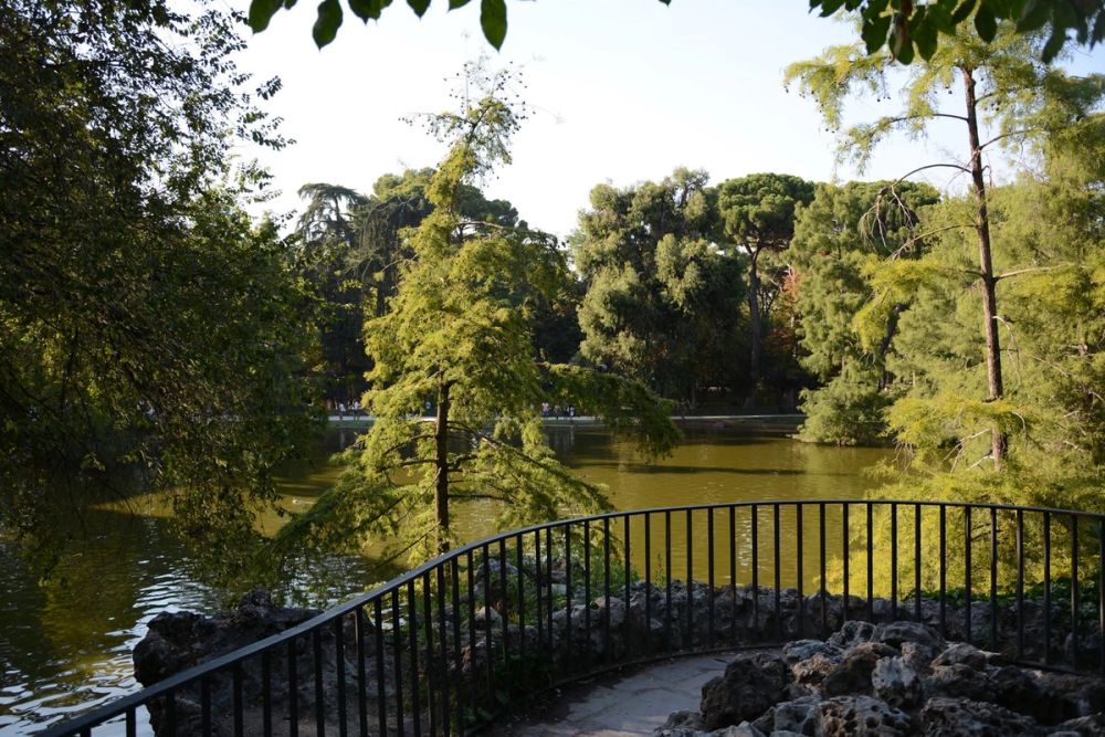 Parque del Retiro (Madrid) 18-08-2017