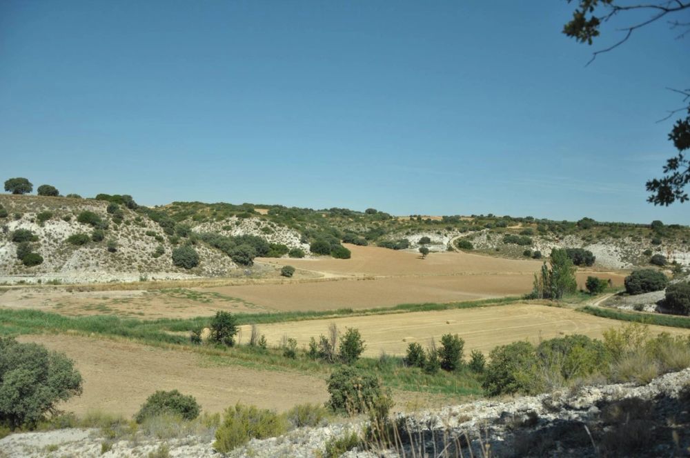 Valle de Lillo 2017