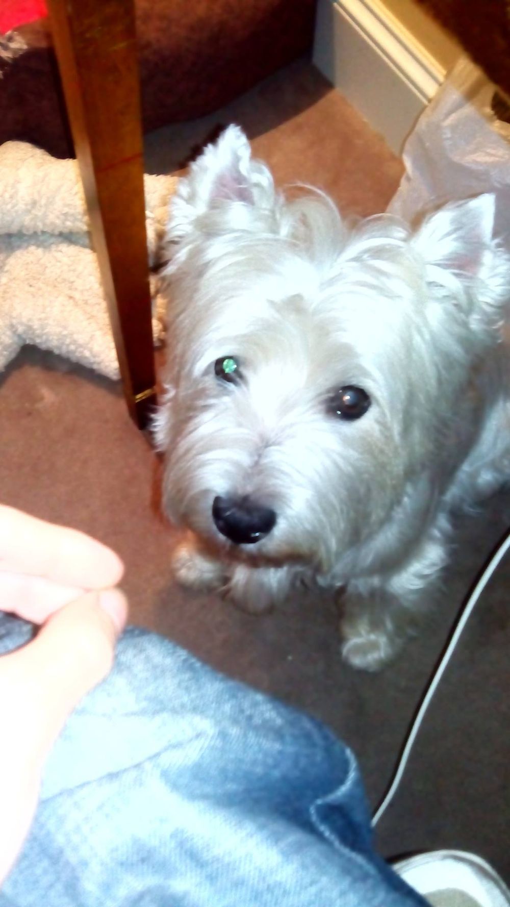 Luckky