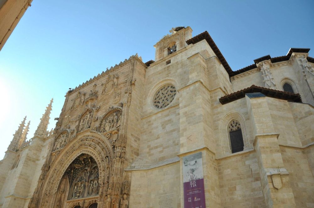 Aranda del duero 2014