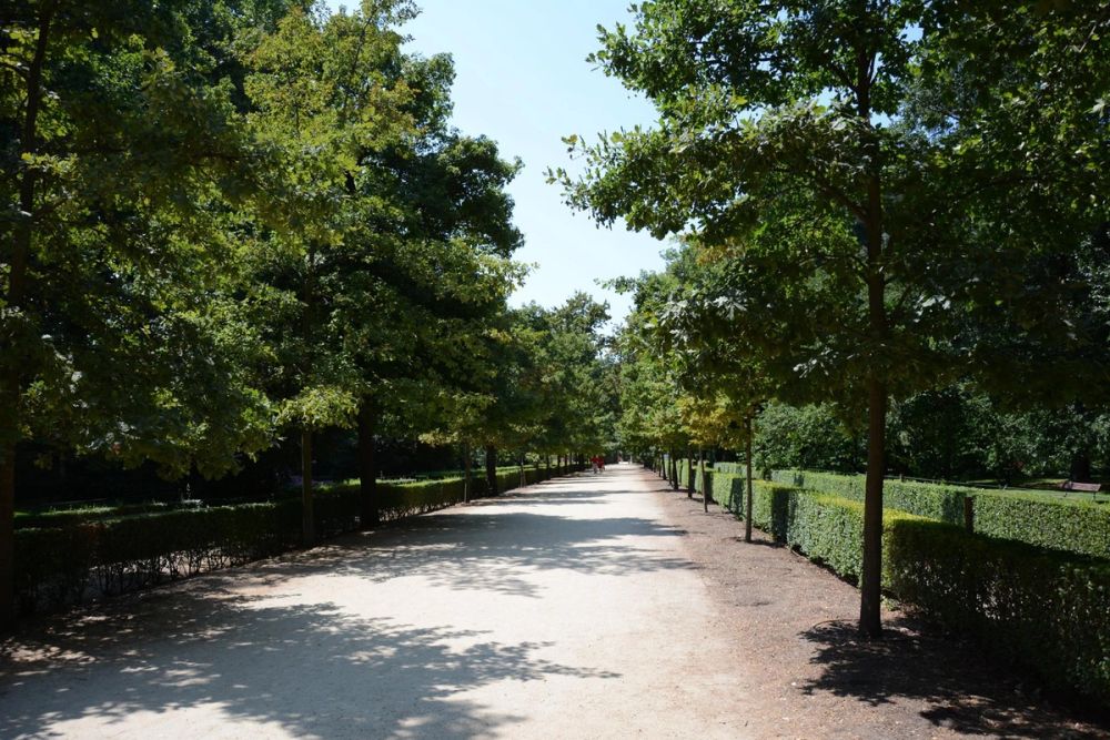 Parque de El capricho (Madrid) 2018