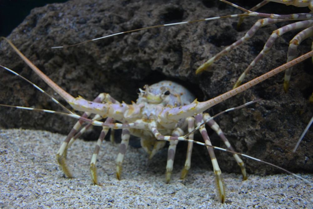 zoo 07-07-2018