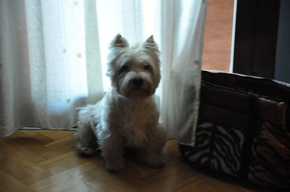 Luckky