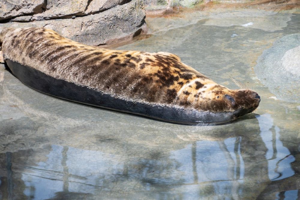 Zoo 17-08-2024