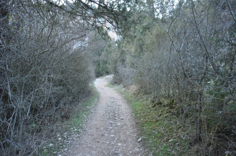 Rio lobos (Burgos/Soria) 2012