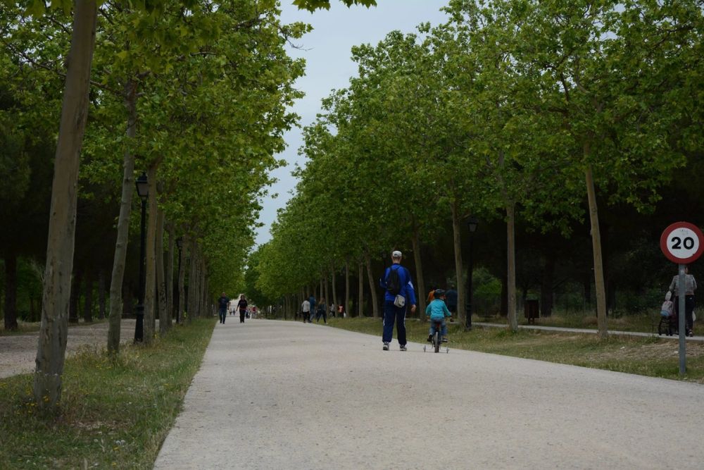 Parque polvoranca (Leganes) 10-06-2019
