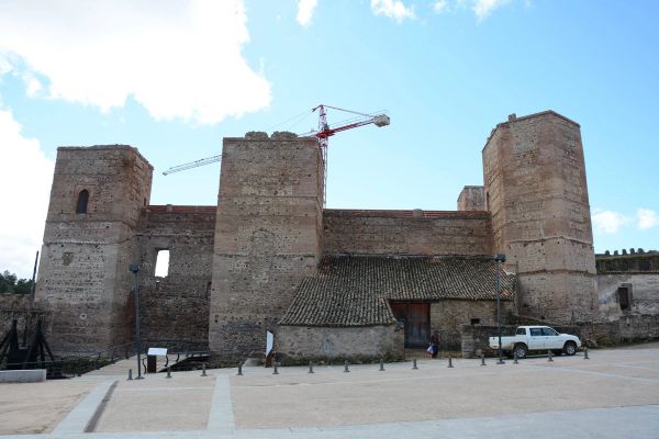 Buitrazo de Lozoya 04-03-2017